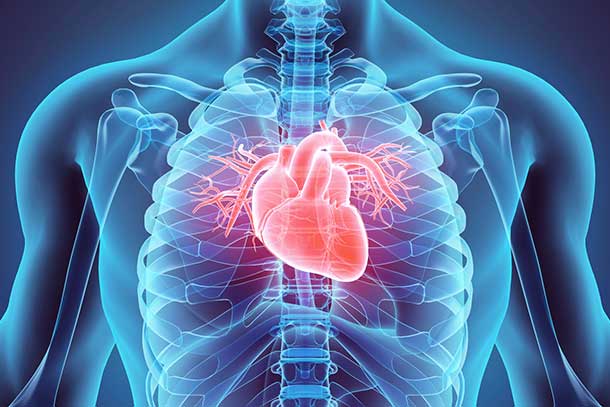 CarollMed_cardiology